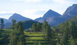 Green Flinders